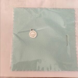 Tiffany & Co. Charm and Signature Blue Jewelry Cloth NWT Authentic